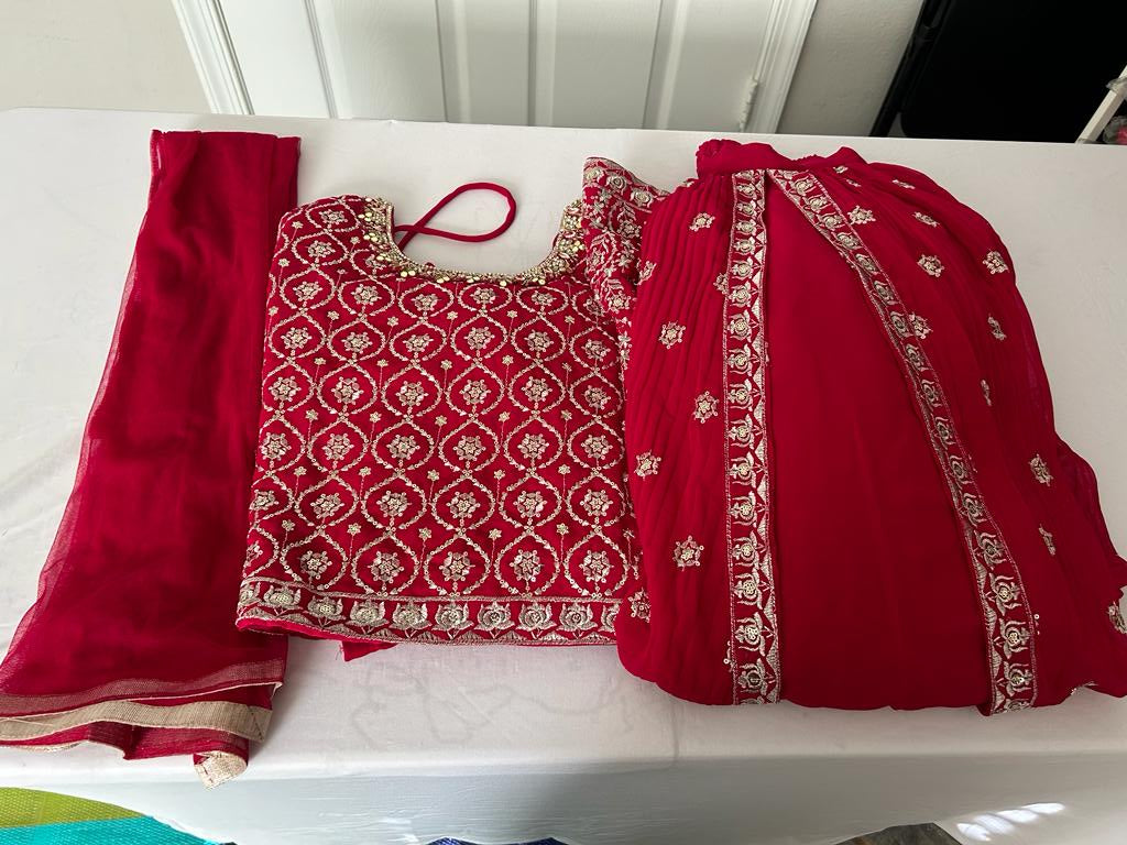 Lehenga- RaniPink in Trendy Divided Pattern in skirt